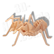 Ameise 3D Holzpuzzle ab 3,38 EUR Ameise 3D Holzpuzzle ab 3,38 EUR