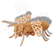 Biene klein 3D Holzpuzzle ab 3,38 EUR Biene klein 3D Holzpuzzle ab 3,38 EUR