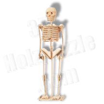 Menschliches Skelett 3D Holzpuzzle ab 4,28 EUR